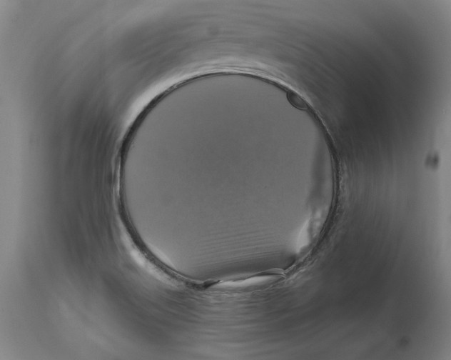 X0000114611515200911171023