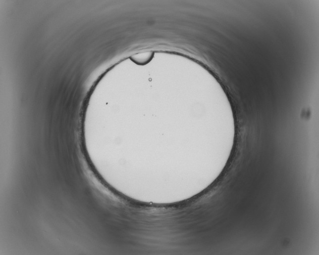 X0000114611518200911171023