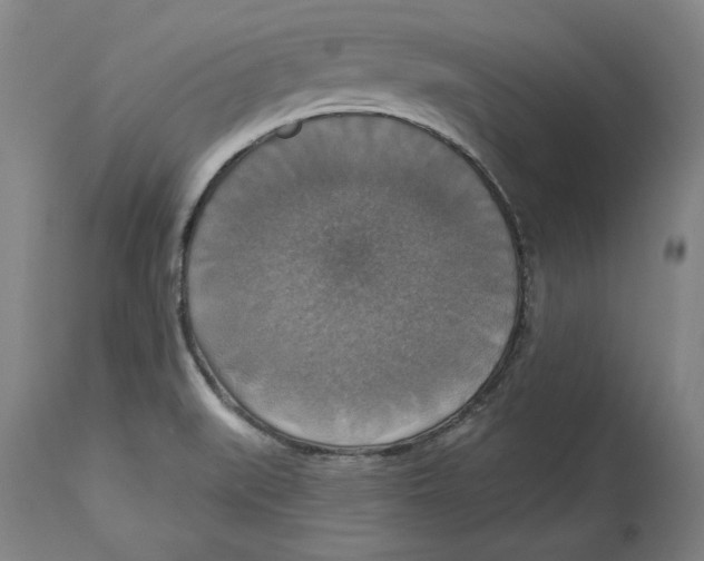 X0000114611519200911171023