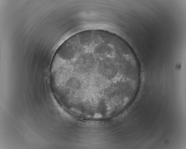 X0000114611521200911171023