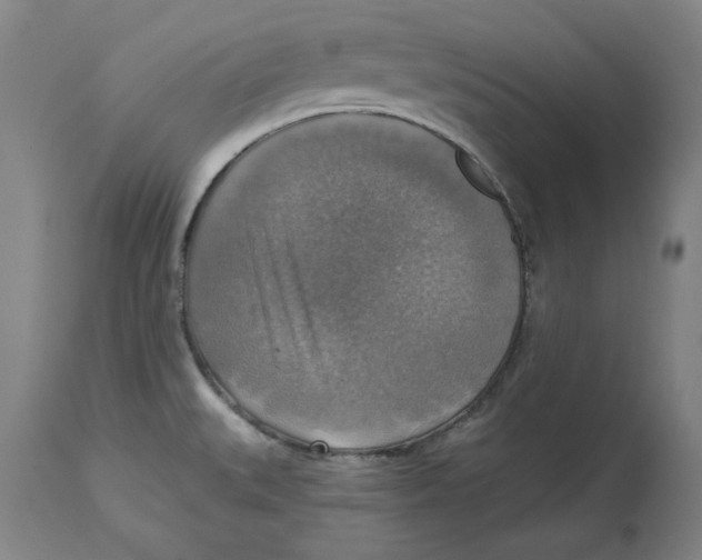 X0000114611527200911171023