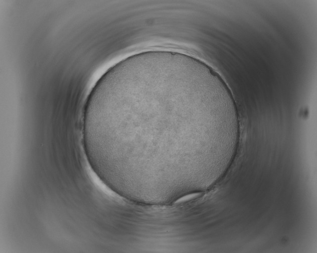 X0000114611531200911171023