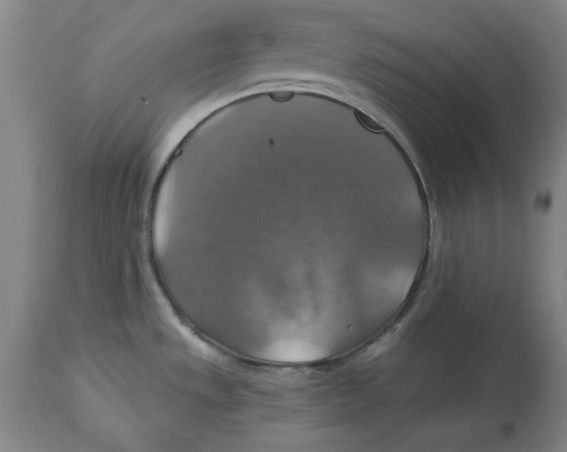 X0000114611533200911171023