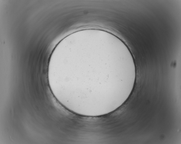 X0000114611534200911171023