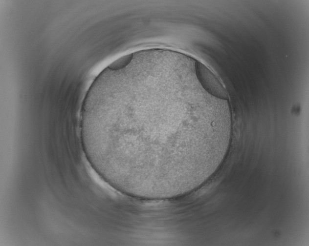 X0000114611535200911171023