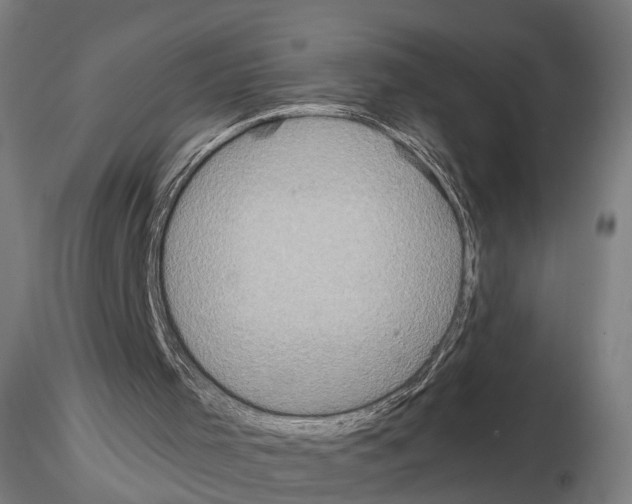 X0000114610001200912010948