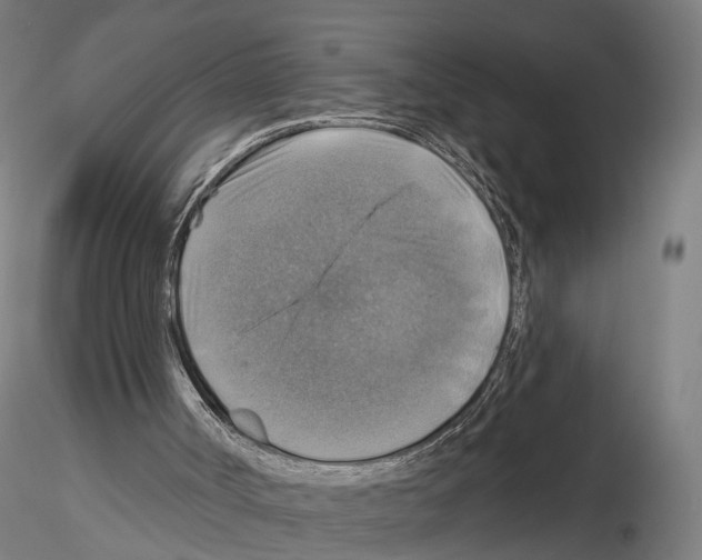 X0000114610002200912010948