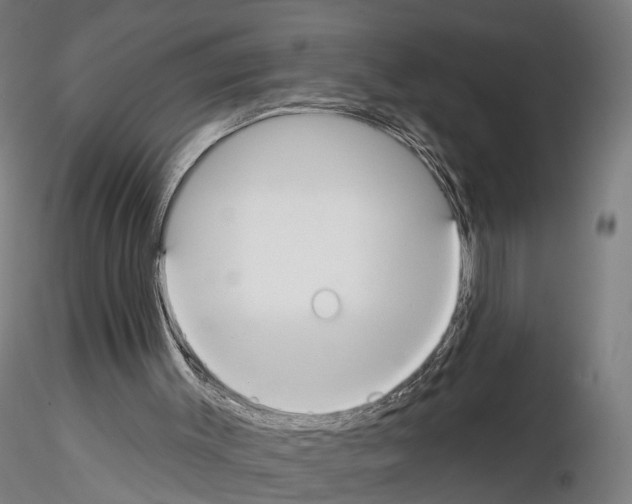 X0000114610003200912010948