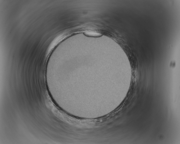 X0000114610004200912010948