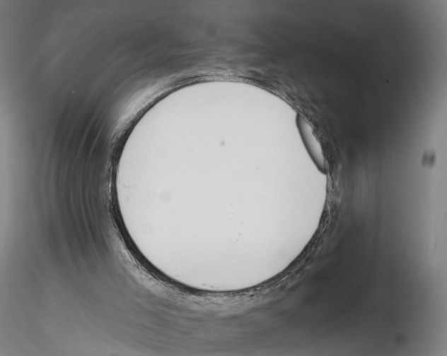 X0000114610005200912010948