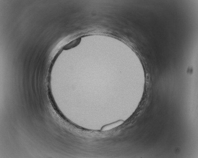 X0000114610007200912010948