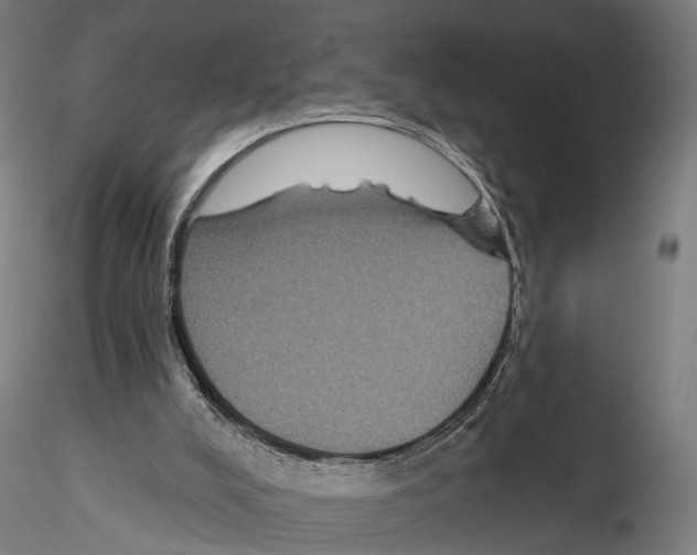 X0000114610008200912010948