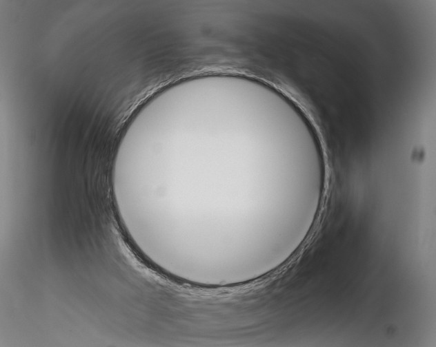 X0000114610009200912010948