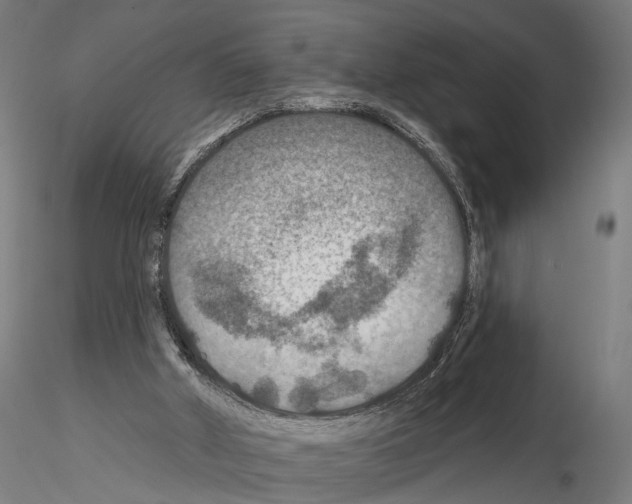 X0000114610010200912010948