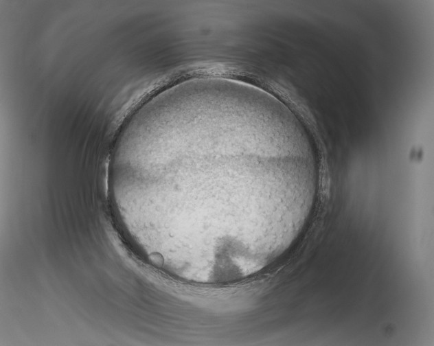 X0000114610014200912010948