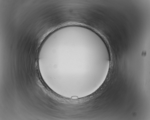 X0000114610015200912010948