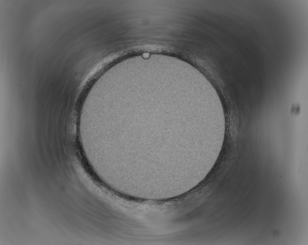 X0000114610016200912010948