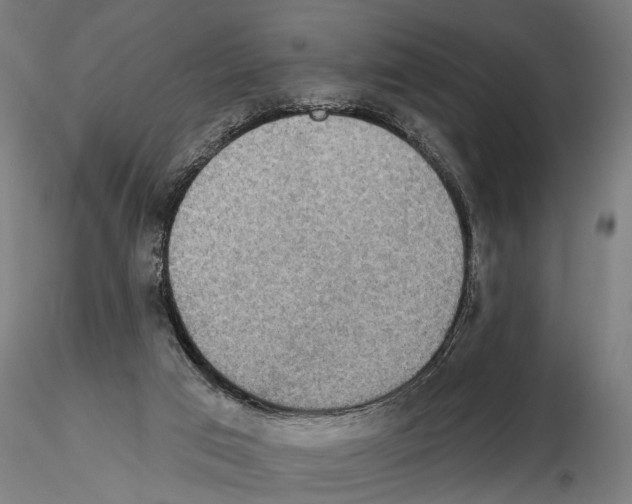 X0000114610017200912010948