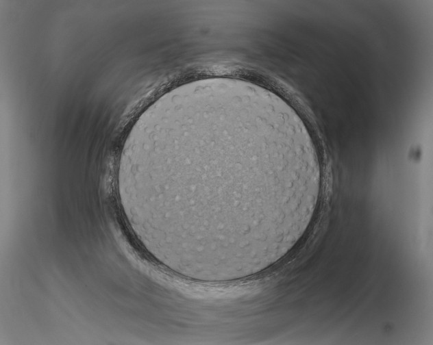 X0000114610018200912010948