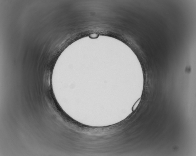 X0000114610021200912010948