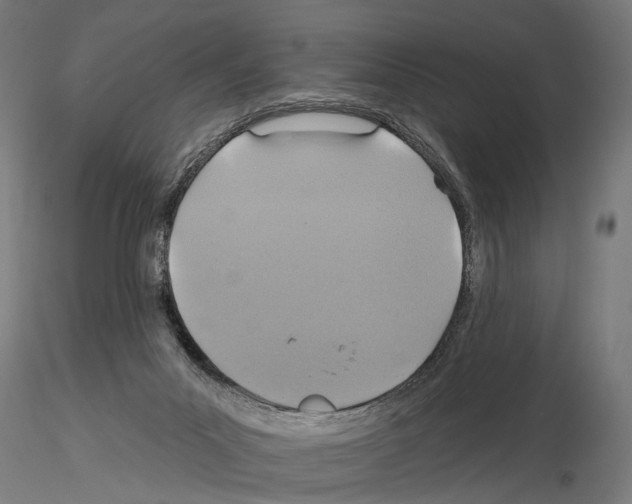 X0000114610023200912010948