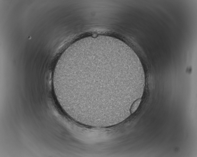 X0000114610024200912010948