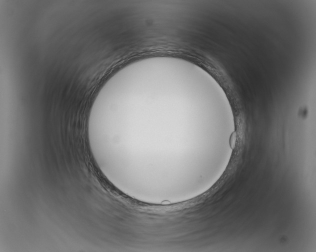 X0000114610025200912010948