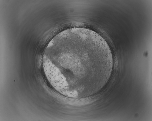 X0000114610026200912010948