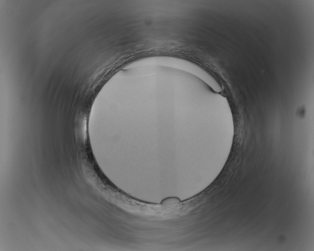 X0000114610027200912010948