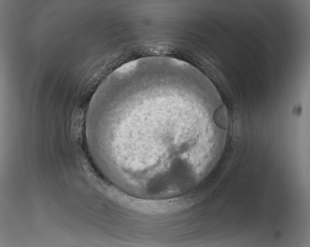 X0000114610030200912010948