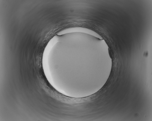 X0000114610031200912010948