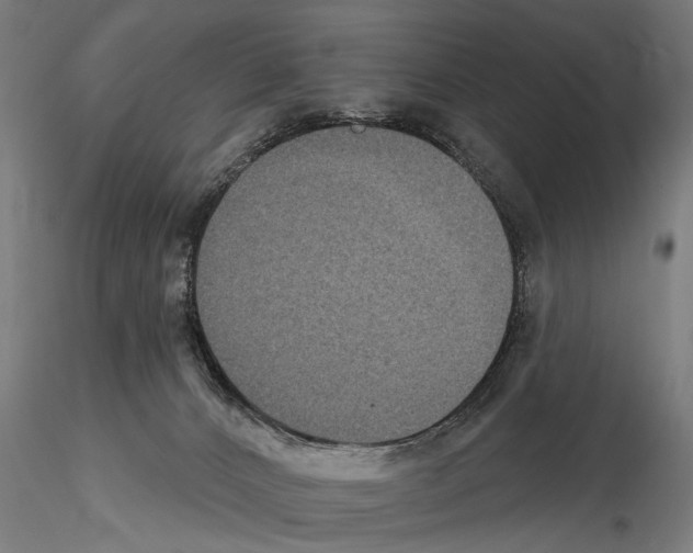 X0000114610032200912010948