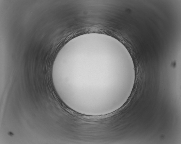 X0000114610033200912010948