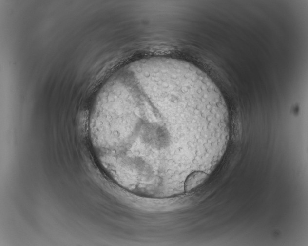 X0000114610034200912010948