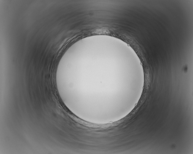 X0000114610035200912010948