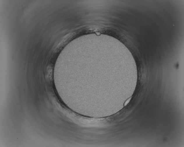 X0000114610036200912010948