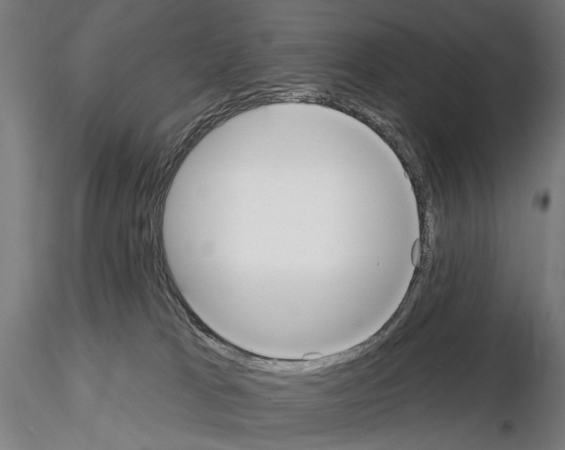 X0000114610037200912010948