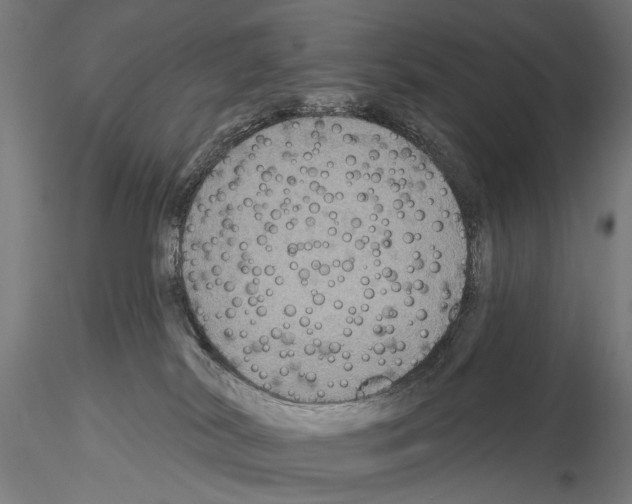 X0000114610038200912010948