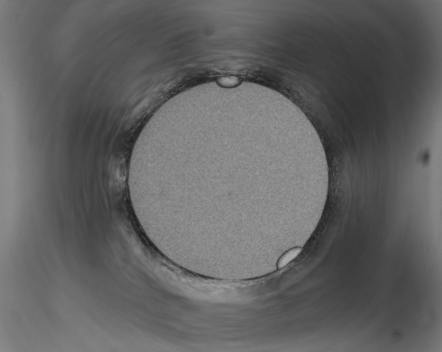 X0000114610040200912010948