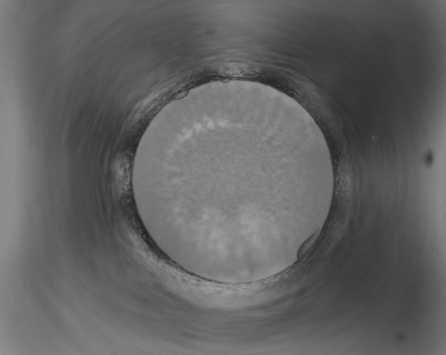 X0000114610043200912010948