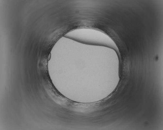 X0000114610045200912010948