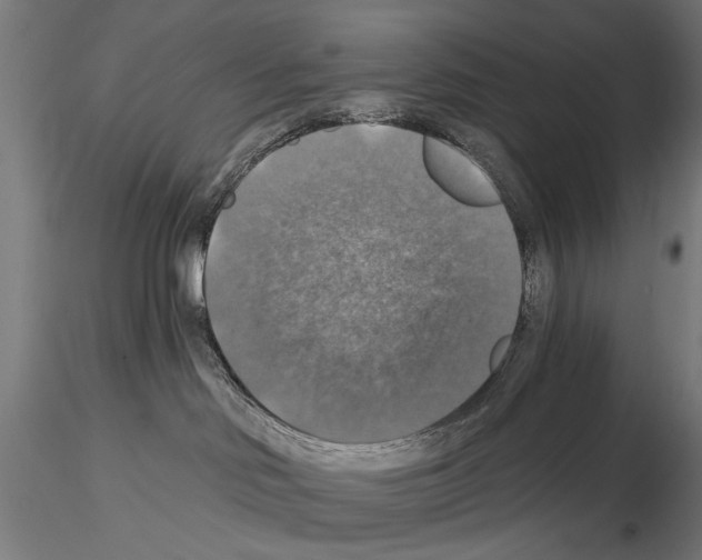 X0000114610046200912010948