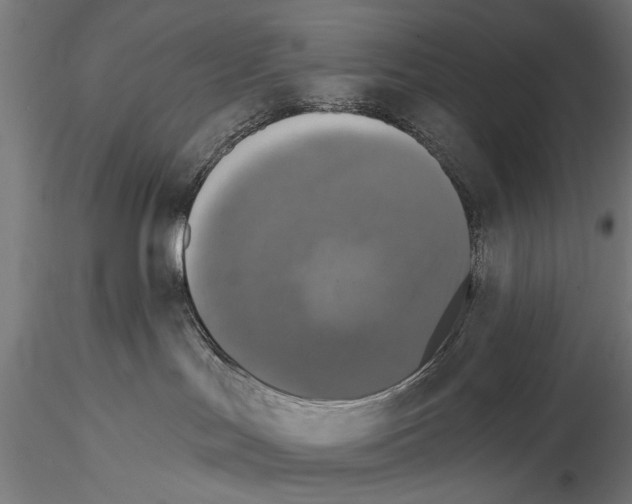 X0000114610047200912010948