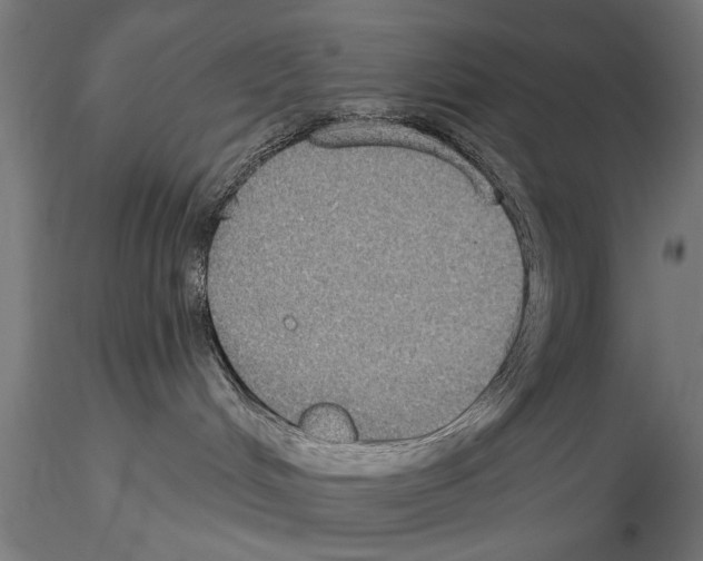 X0000114610048200912010948