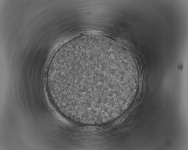 X0000114610049200912010947