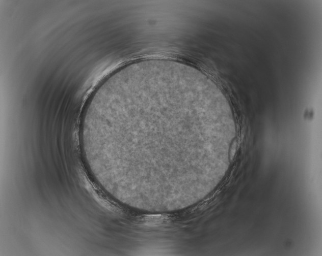 X0000114610050200912010947