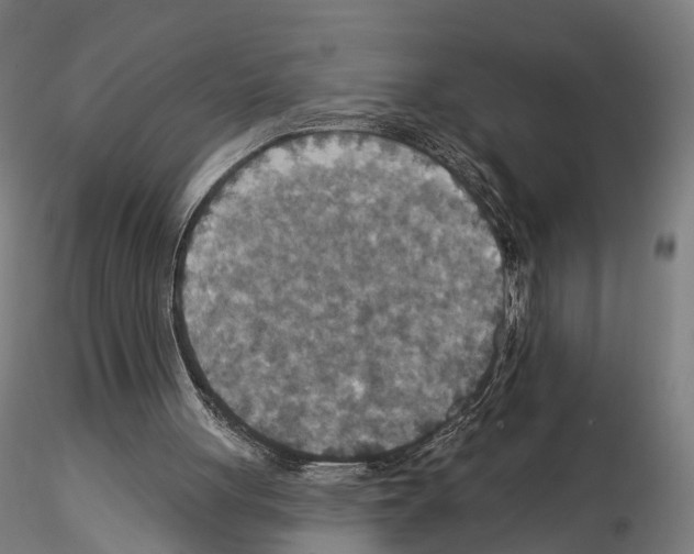 X0000114610051200912010947