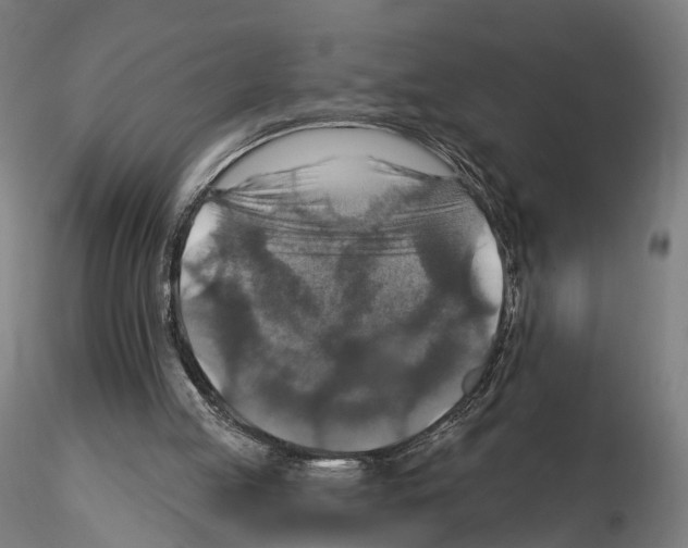 X0000114610053200912010947