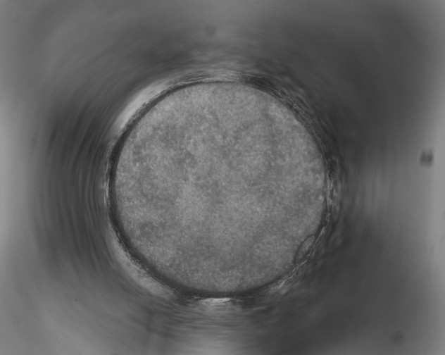 X0000114610054200912010947