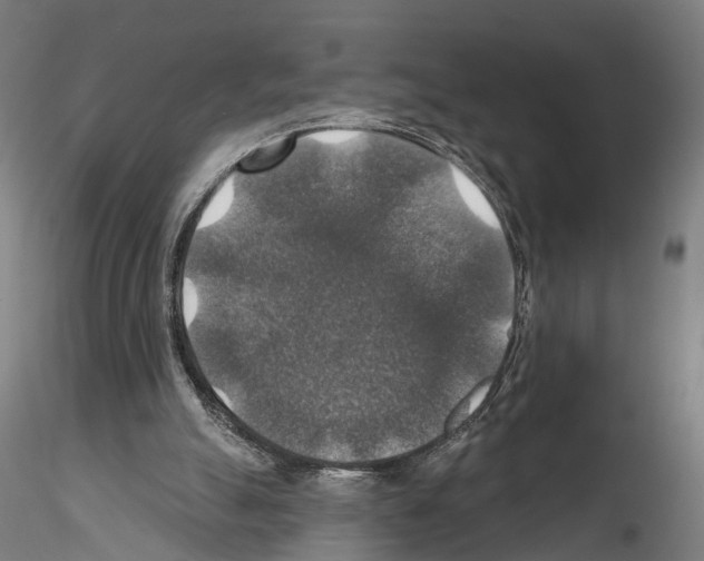 X0000114610055200912010947